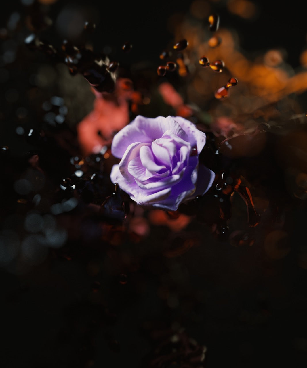 Bleeding Blue Roses